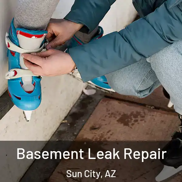  Basement Leak Repair Sun City, AZ