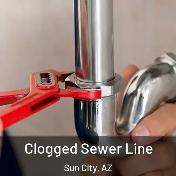  Clogged Sewer Line Sun City, AZ