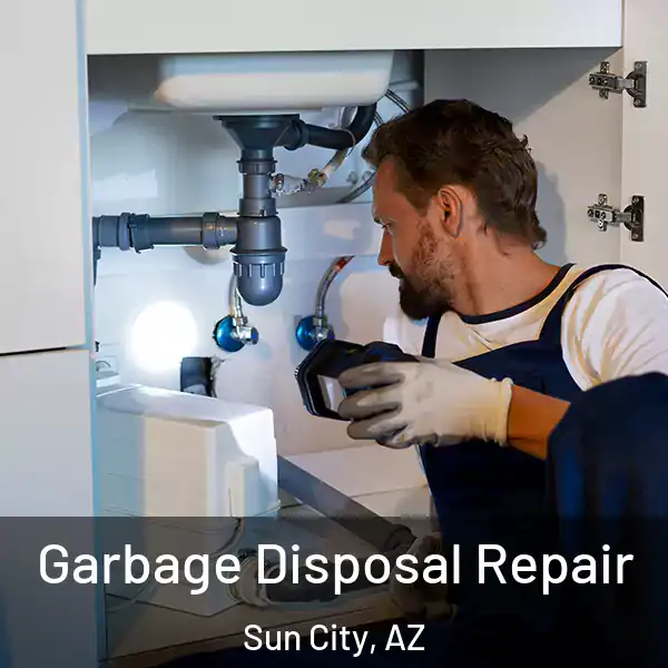  Garbage Disposal Repair Sun City, AZ