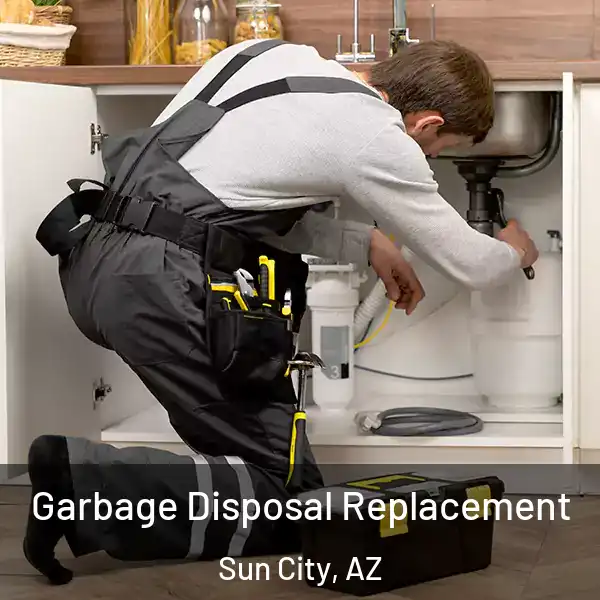  Garbage Disposal Replacement Sun City, AZ