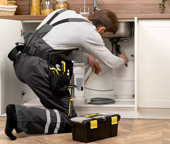 Certified Plumbers for Insinkerator Installation in Sun City