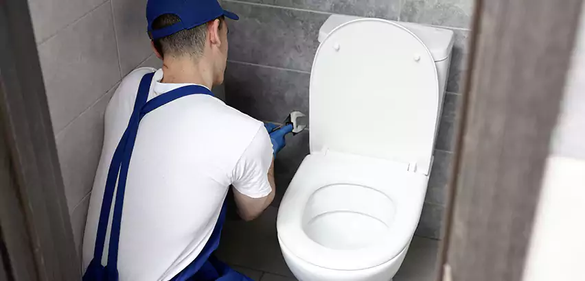 Toilet Lid Replacement in Sun City