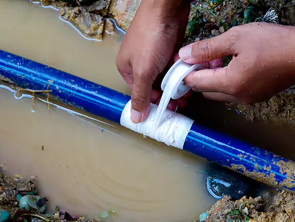  Why Choose Sun City Plumbing Pro for Leak Detection in Sun City, AZ?]