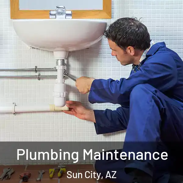  Plumbing Maintenance Sun City, AZ