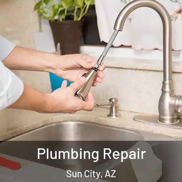  Plumbing Repair Sun City, AZ