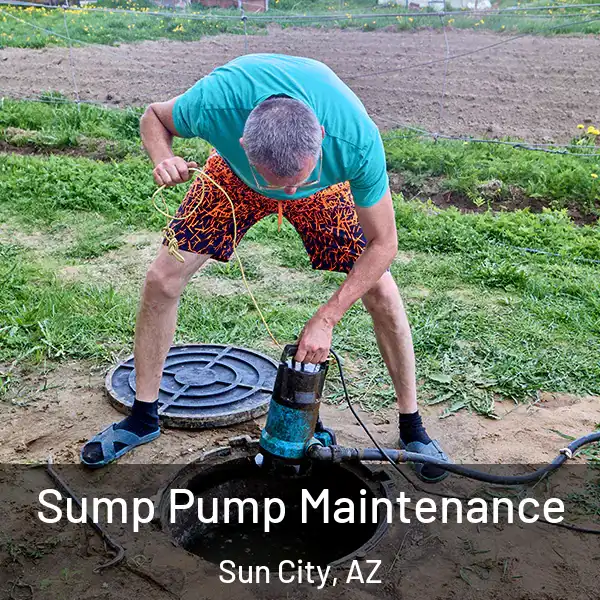  Sump Pump Maintenance Sun City, AZ