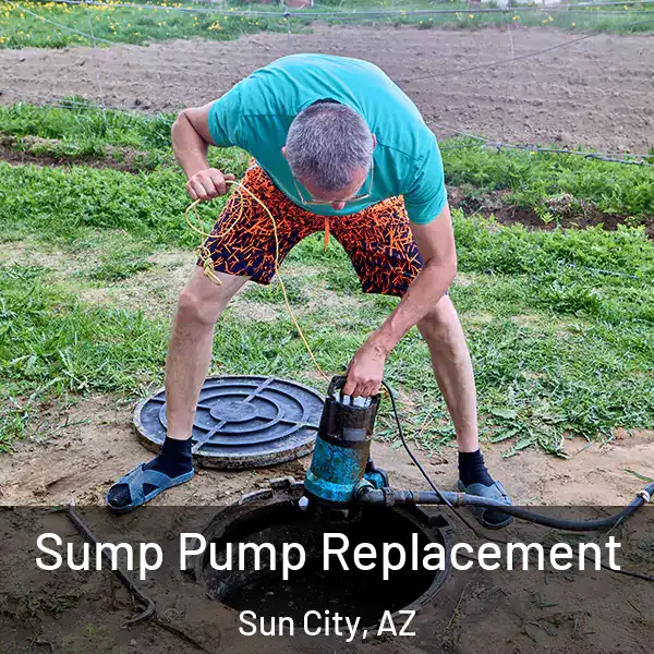  Sump Pump Replacement Sun City, AZ