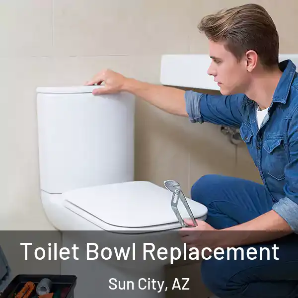  Toilet Bowl Replacement Sun City, AZ