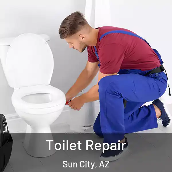  Toilet Repair Sun City, AZ