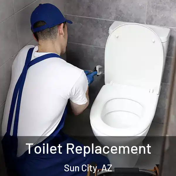  Toilet Replacement Sun City, AZ