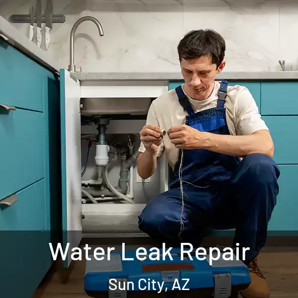  Water Leak Repair Sun City, AZ
